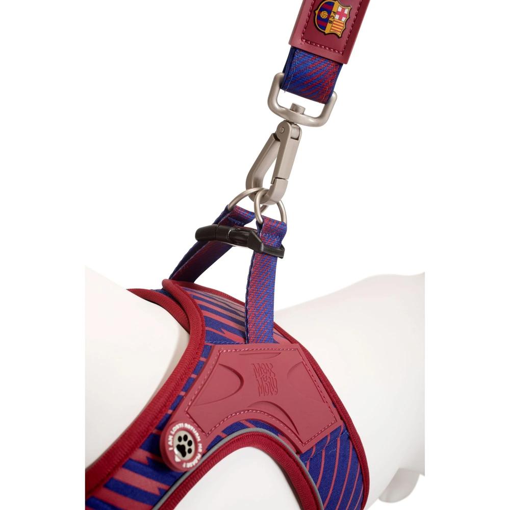 Barcelona Air Vest for Dogs