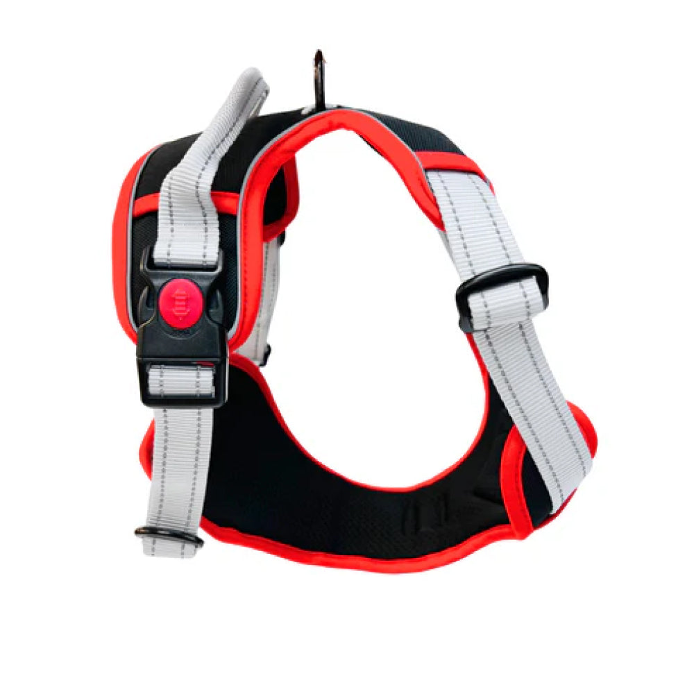 No Pull Dog Harness