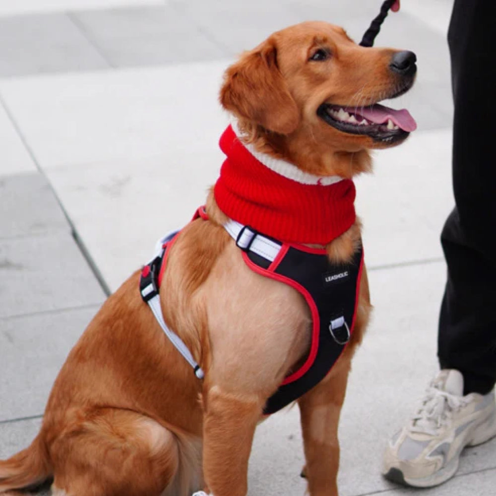 No Pull Dog Harness