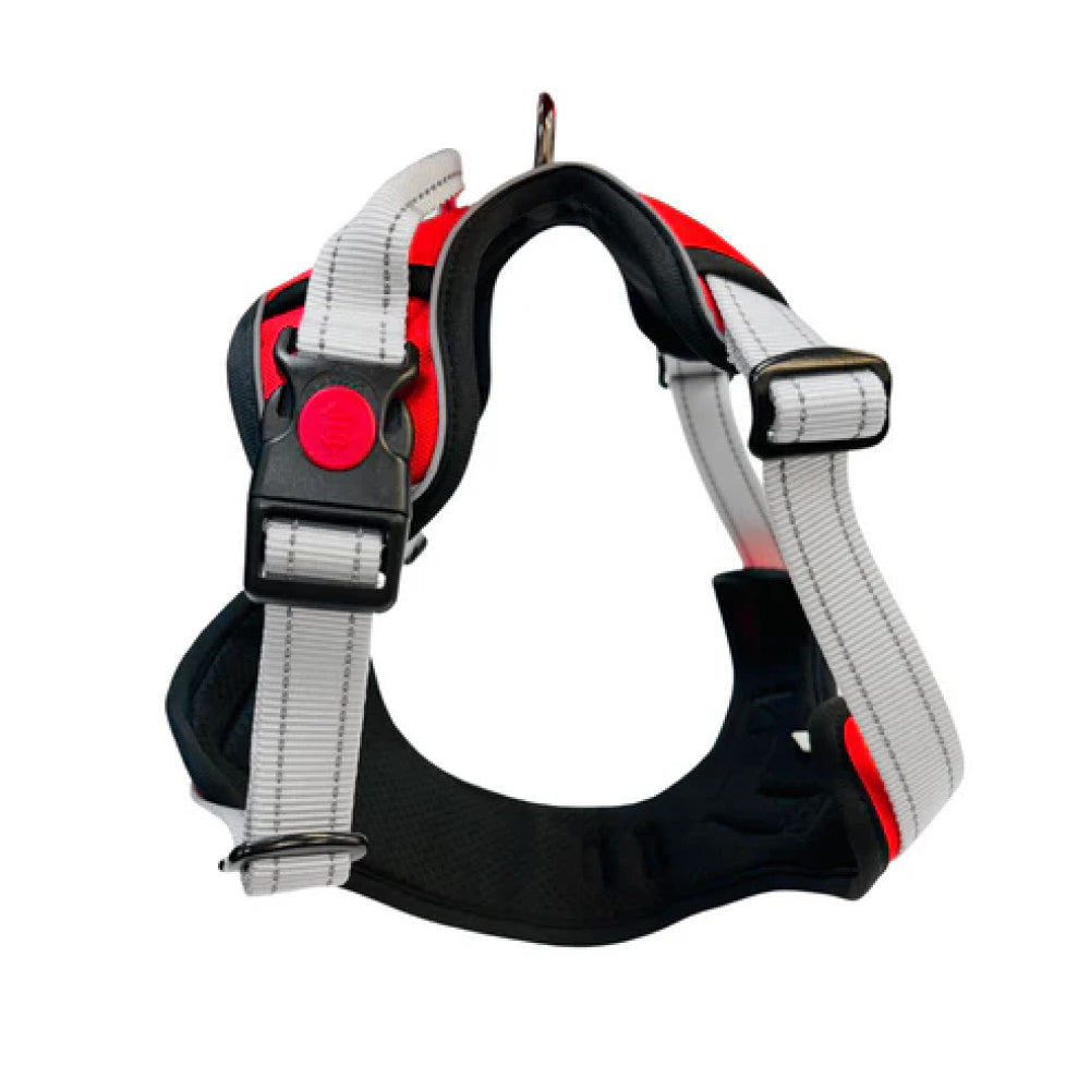 No Pull Dog Harness