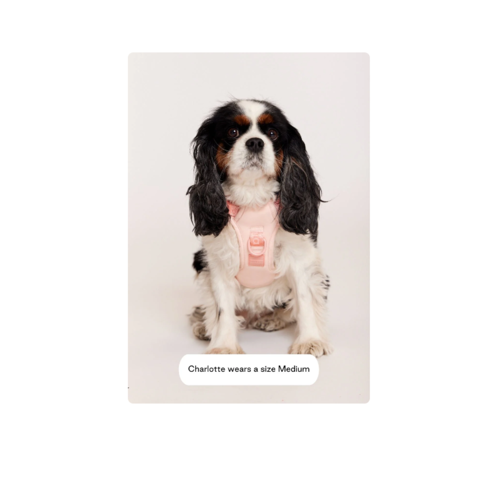 Easy Fit Harness