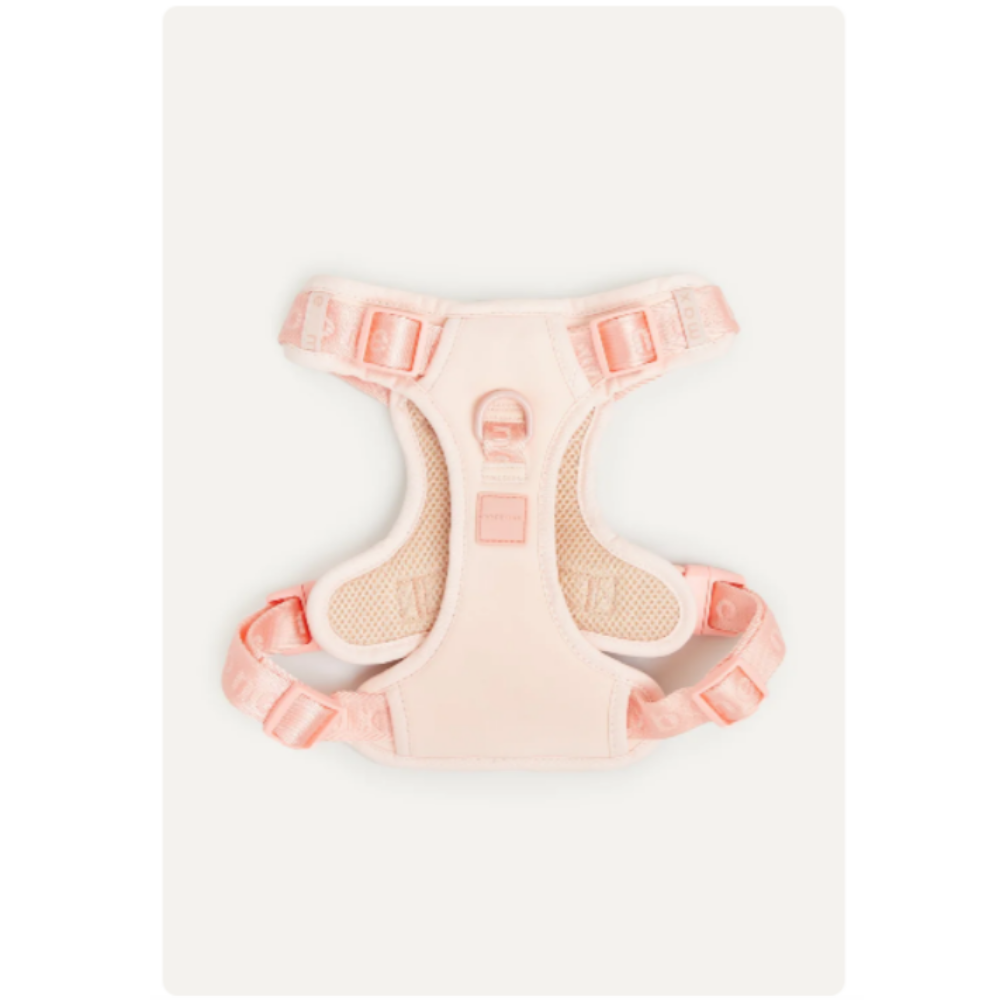 Easy Fit Harness