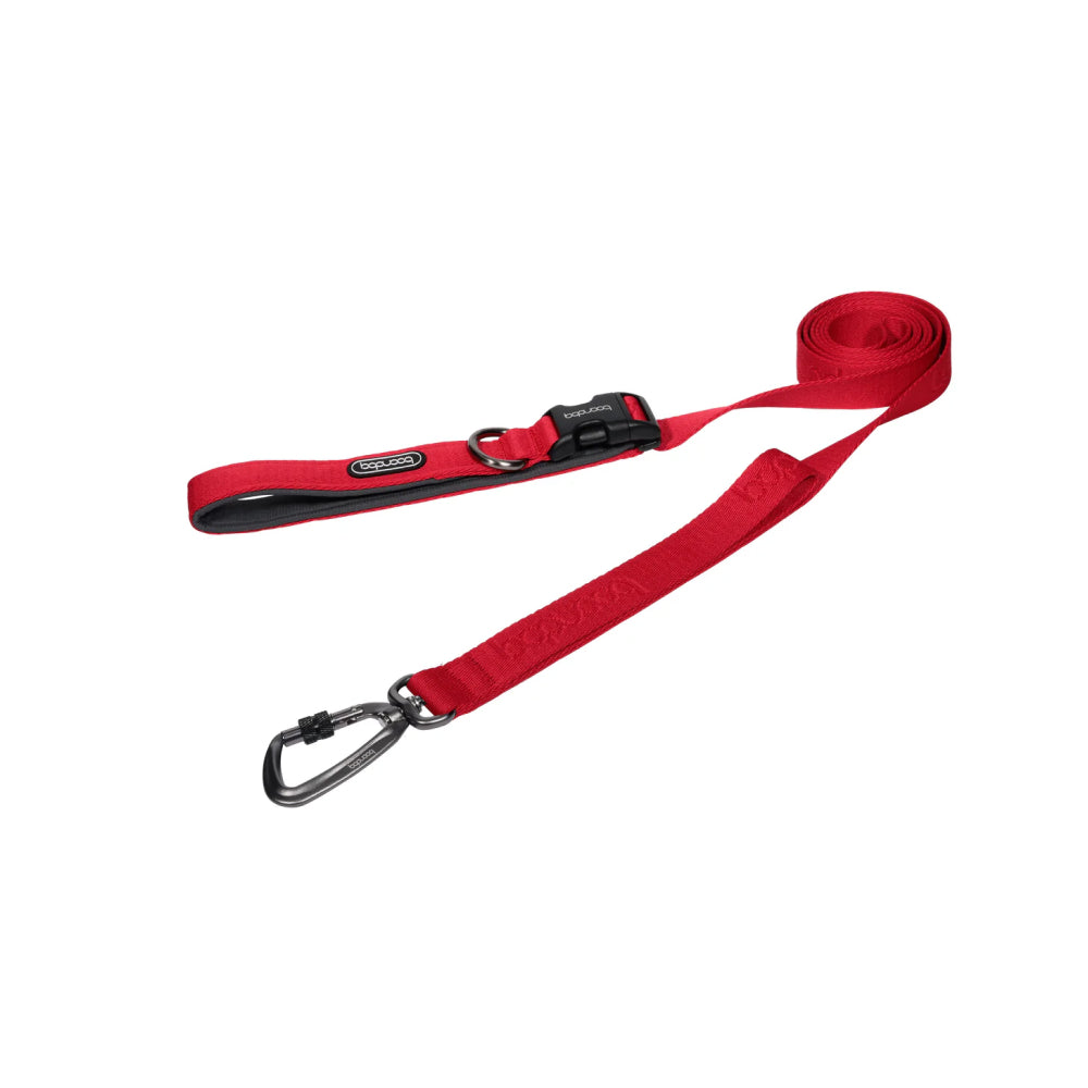 Play Leash 2.0 Dog Leash With Carabiner