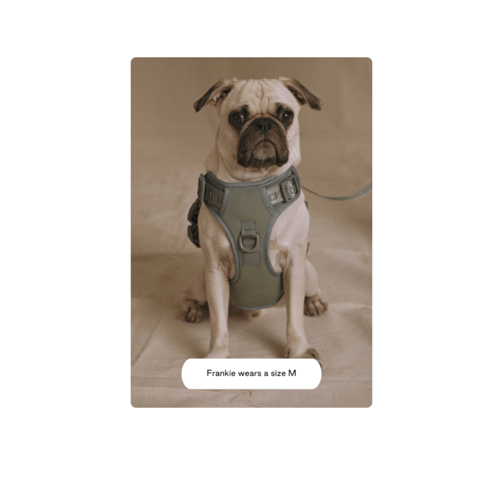 Easy Fit Harness