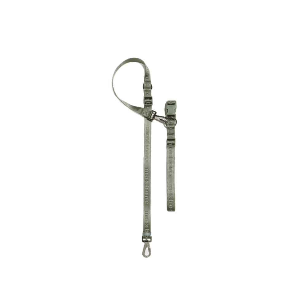Ease Hands Free Dog Leash