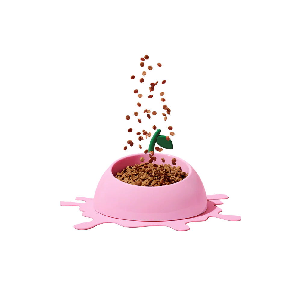 Juicy Peach Pet Bowl , Spoon & Mat Set