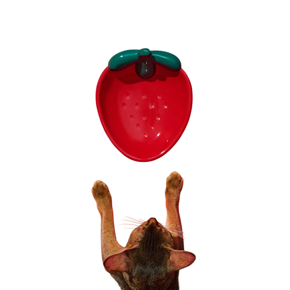 Strawberry Ceramic Pet Bowl