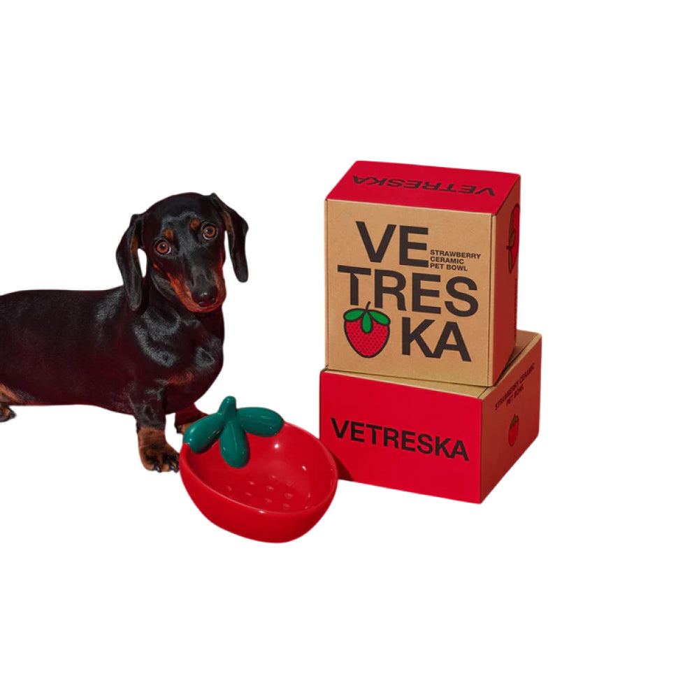Strawberry Ceramic Pet Bowl