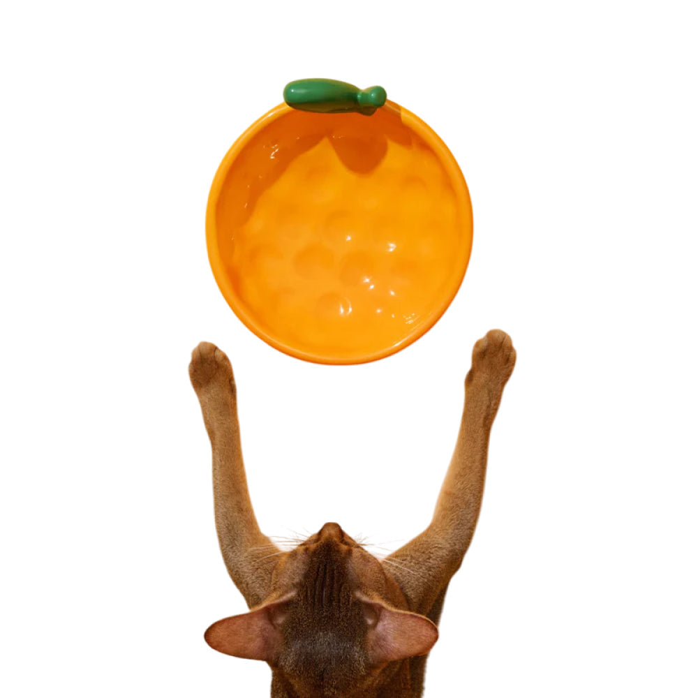 Tangerine Ceramic Pet Bowl