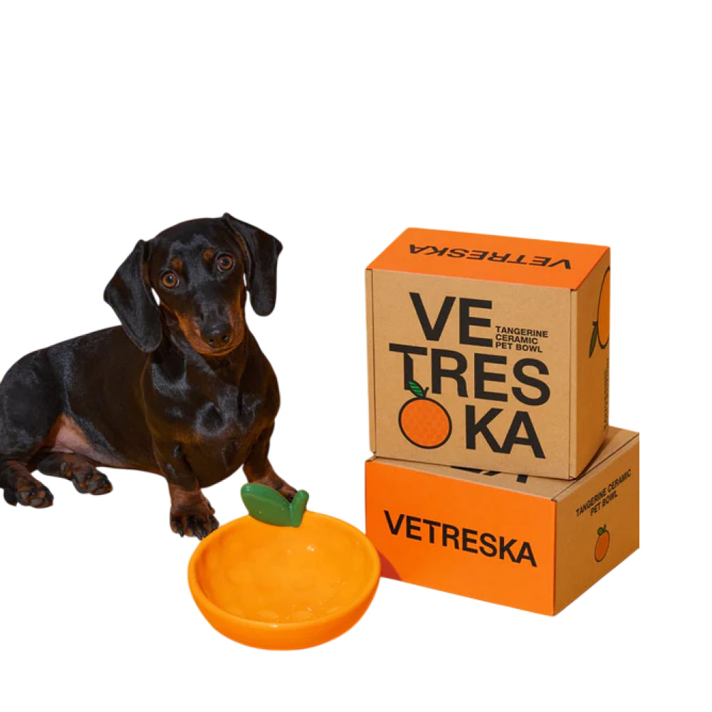 Tangerine Ceramic Pet Bowl