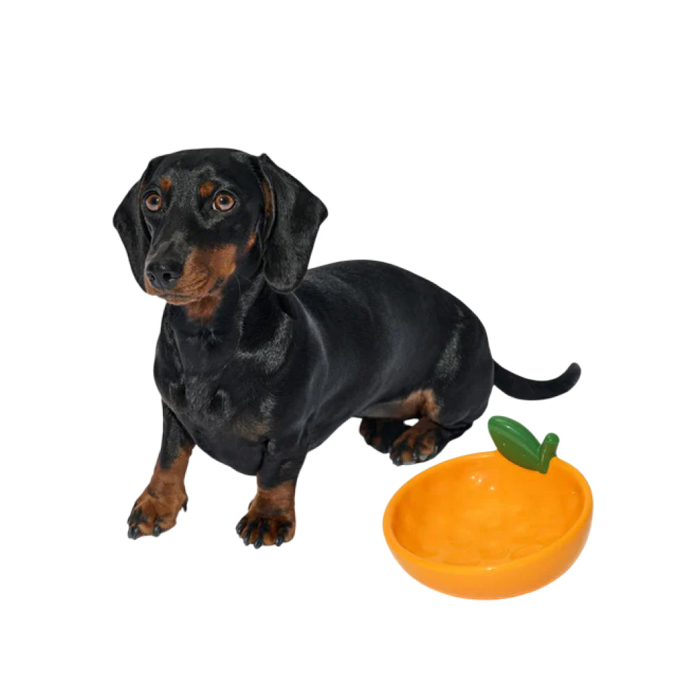 Tangerine Ceramic Pet Bowl