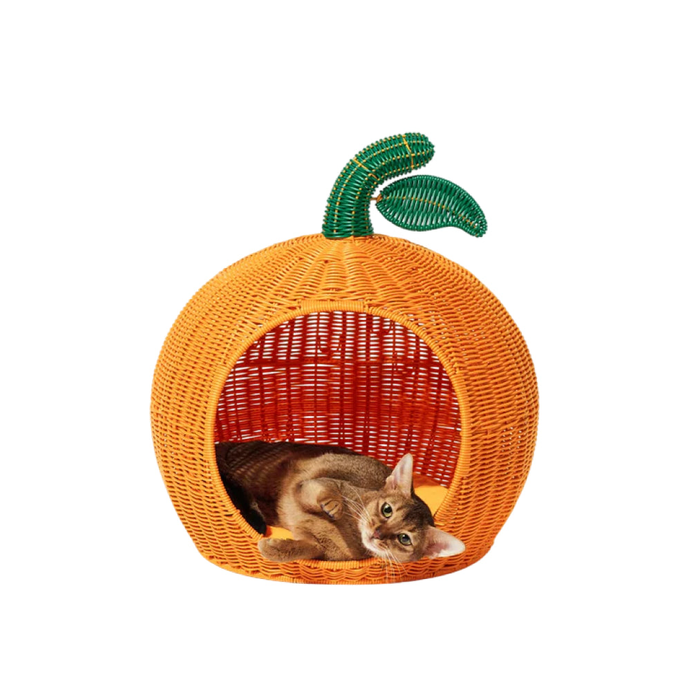 Tangerine Rattan Pet Bed