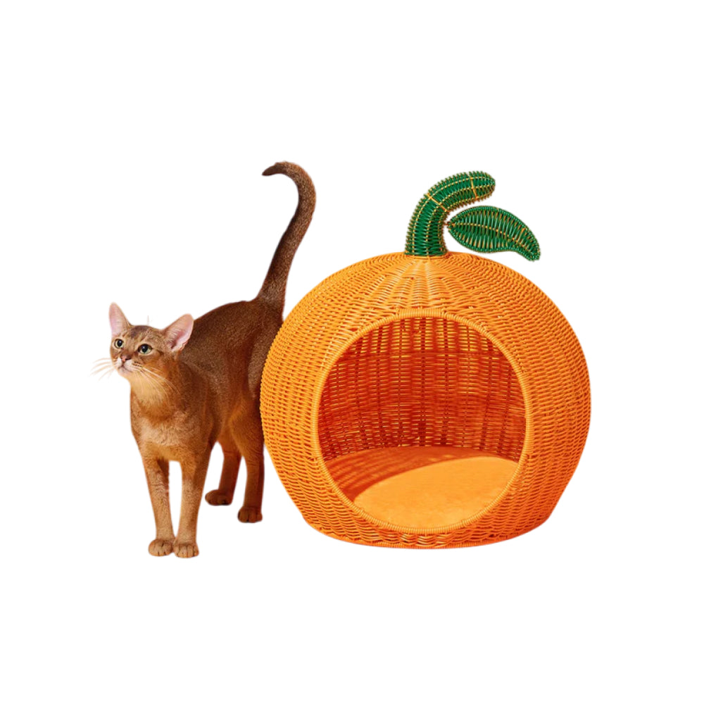 Tangerine Rattan Pet Bed