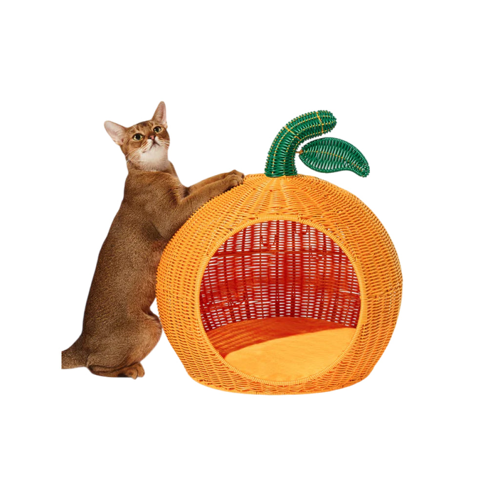 Tangerine Rattan Pet Bed