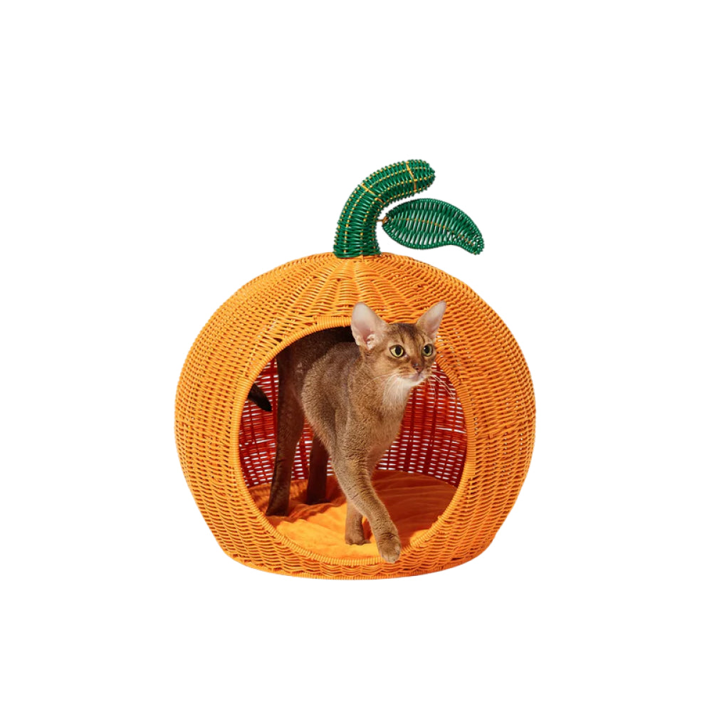 Tangerine Rattan Pet Bed