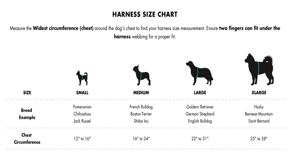 Aqua Waterproof Dog Harness