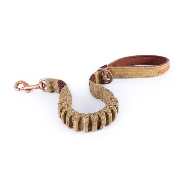 Zero Shock Dog Leash