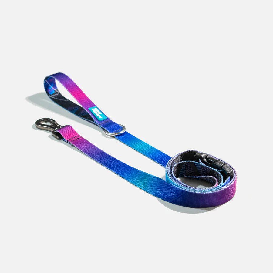 Ikonic Dog Leash