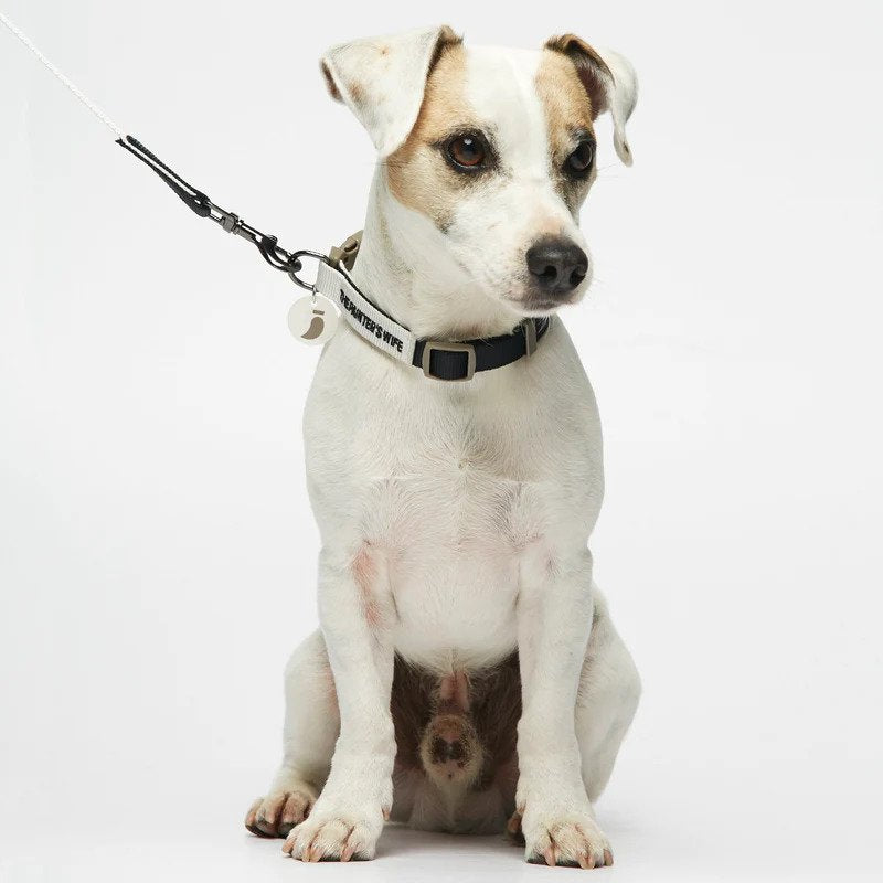 Sonia Dog Leash