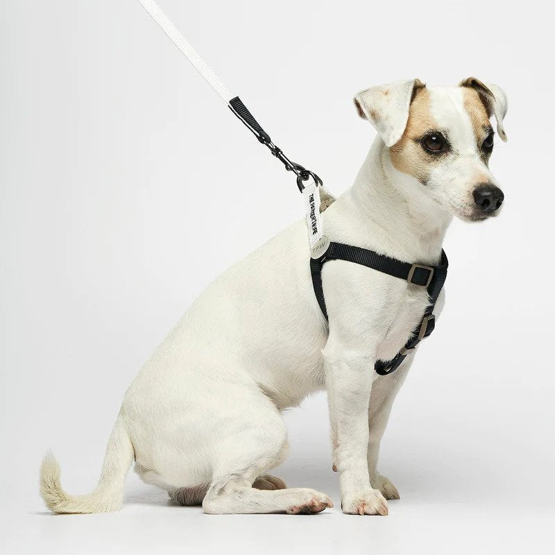 Sonia Dog Harness