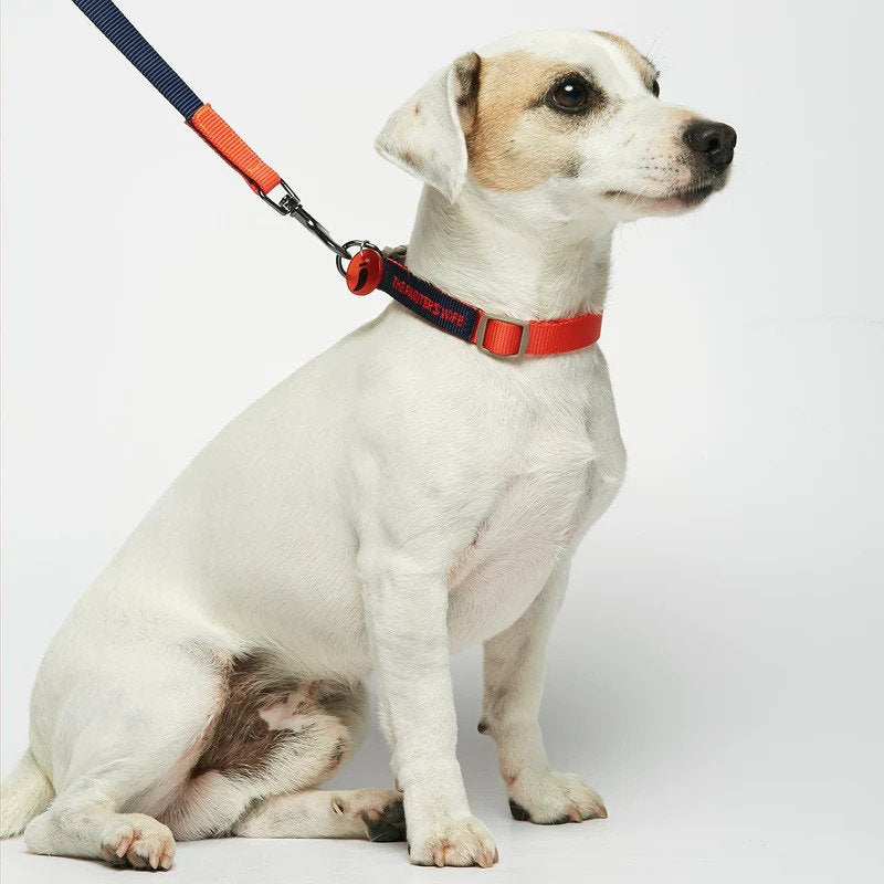 Sonia Dog Leash