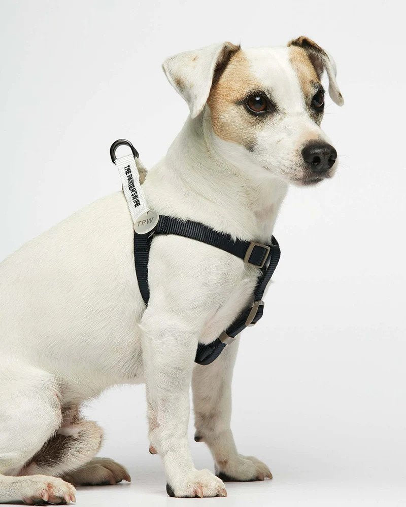 Sonia Dog Harness