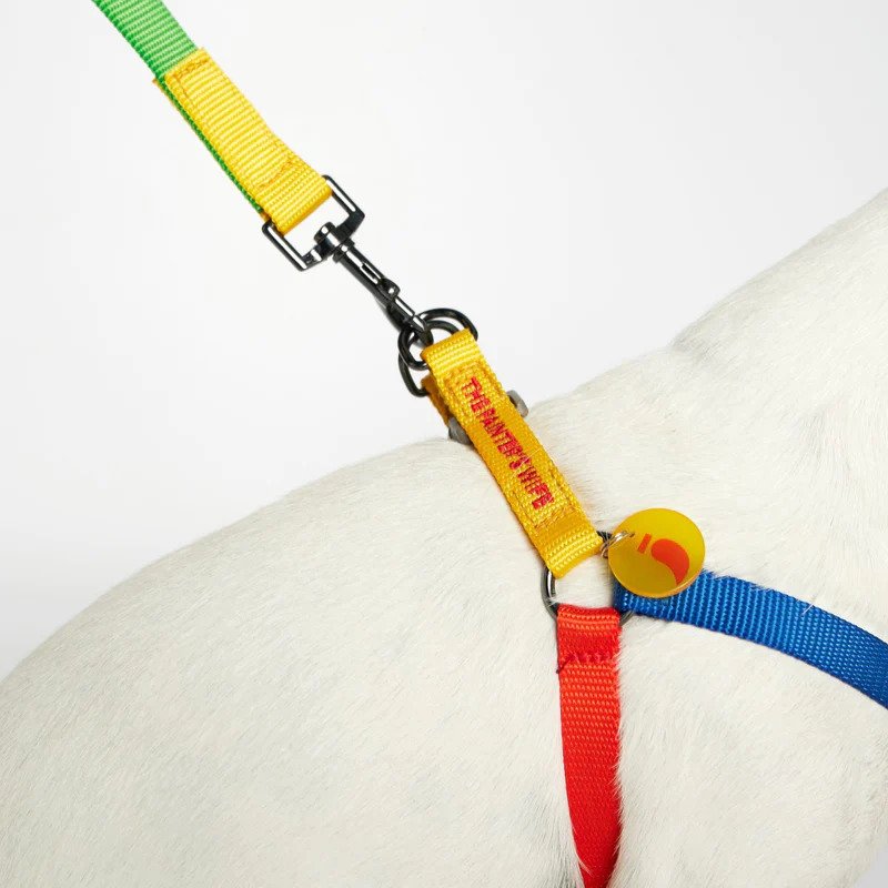 Sonia Dog Harness