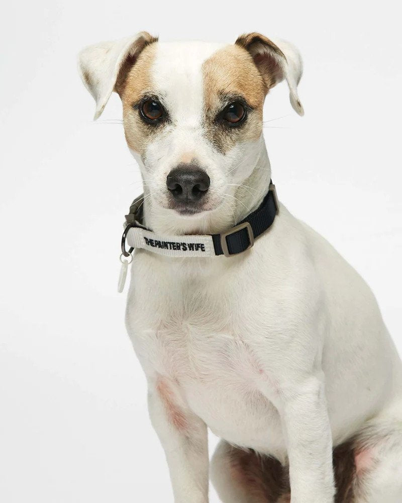 Sonia Dog Collar