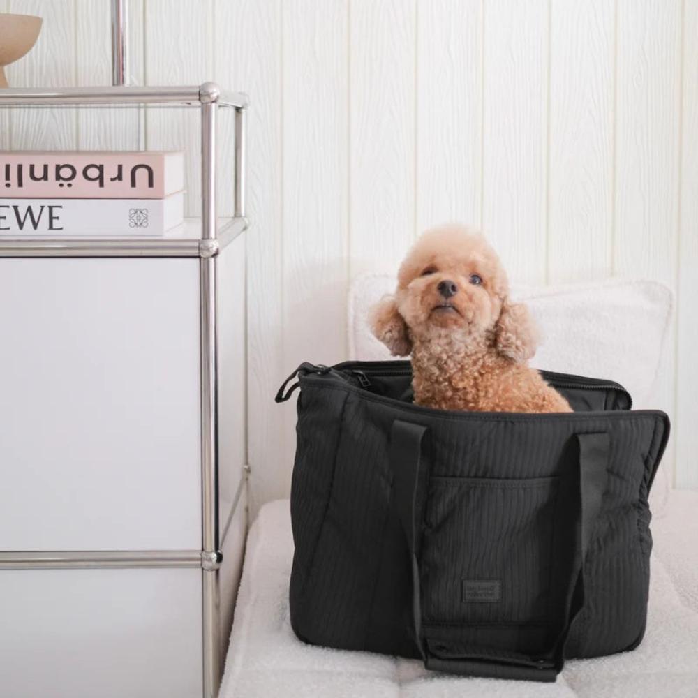 City Pet Carrier