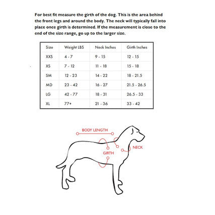 Quick Fit Dog Harness